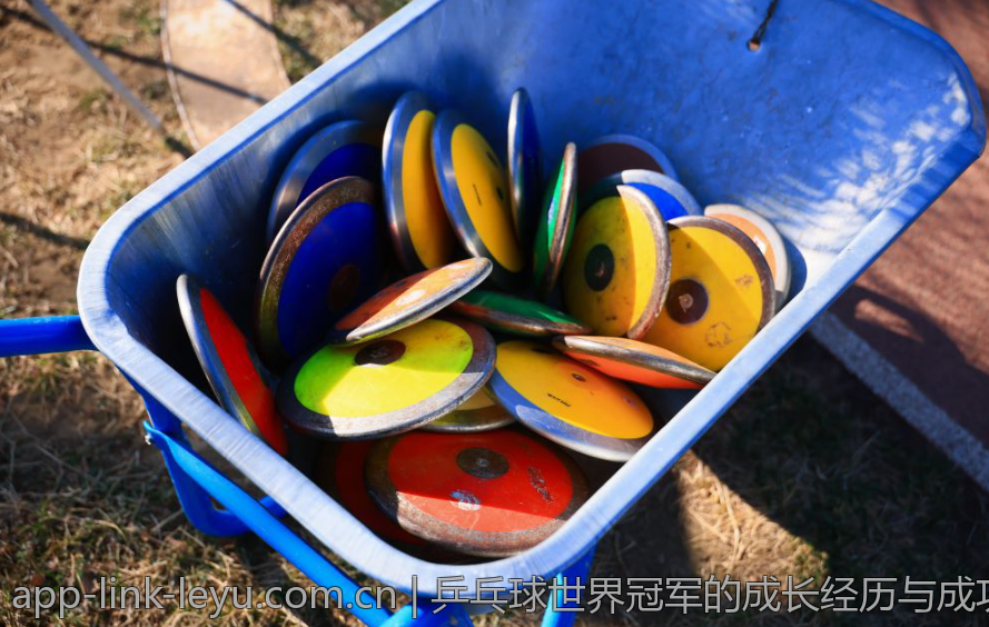 乒乓球世界冠军的成长经历与成功秘诀