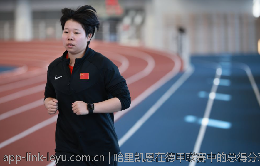 哈里凯恩在德甲联赛中的总得分表现汇总