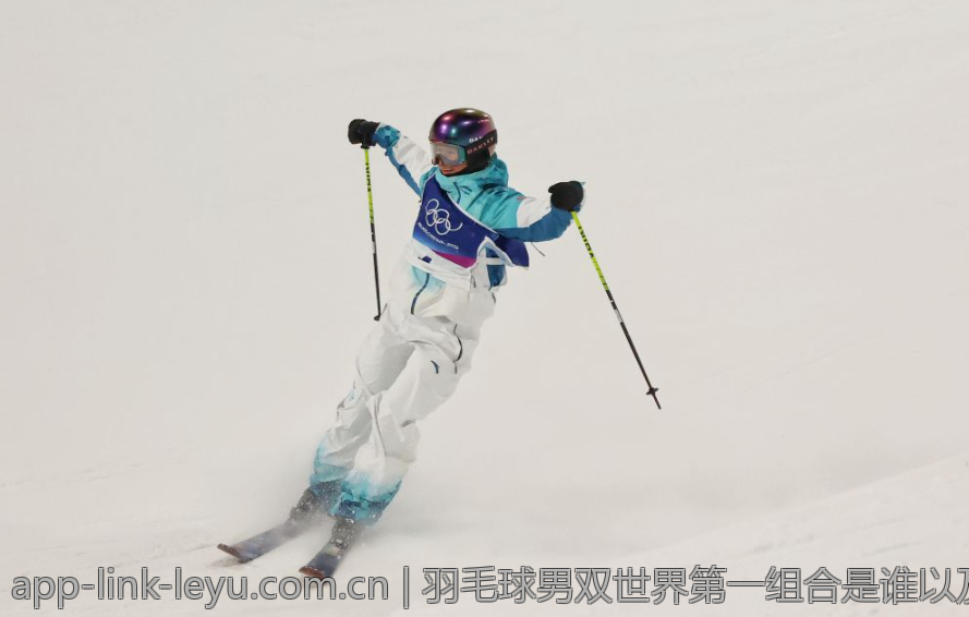 羽毛球男双世界第一组合是谁以及他们的成就分析