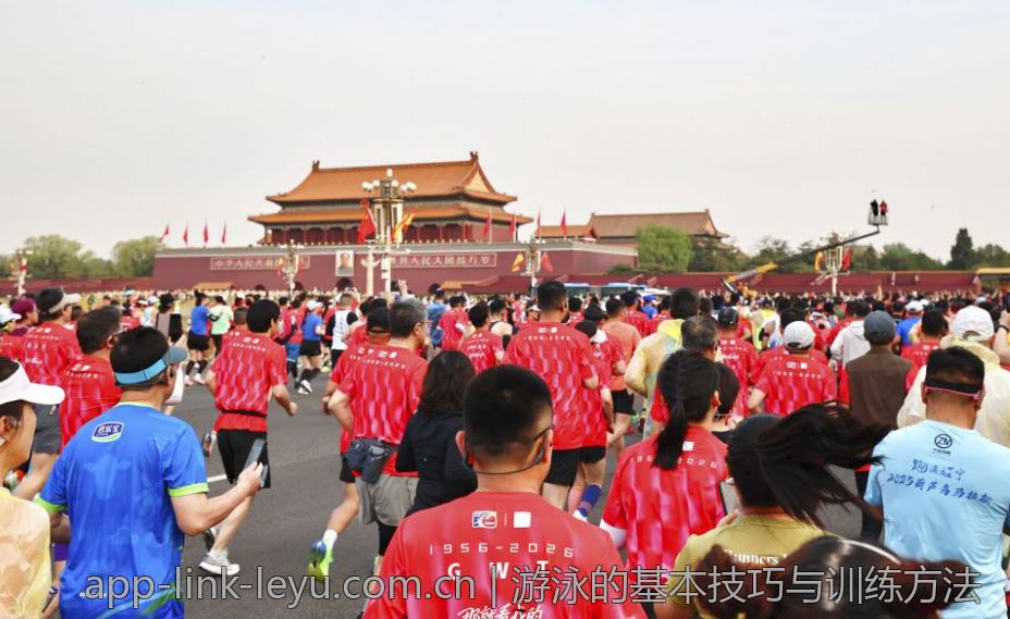 游泳的基本技巧与训练方法