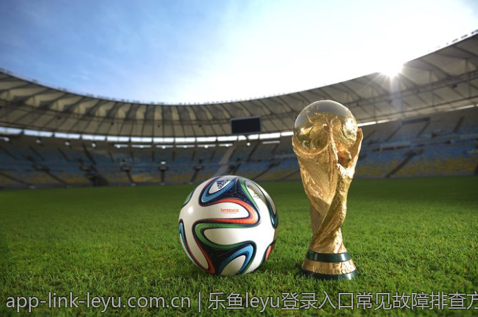 乐鱼leyu登录入口常见故障排查方法