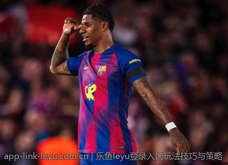 乐鱼leyu登录入口玩法技巧与策略